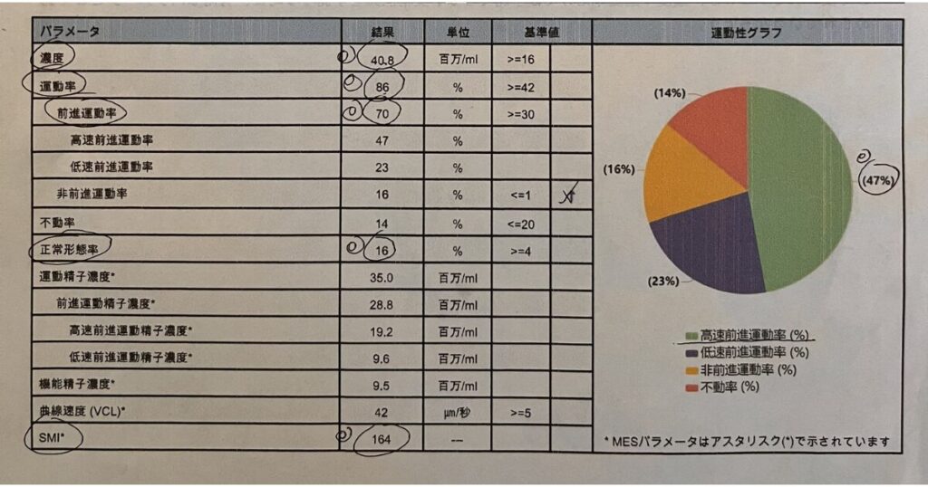 精液検査結果の画像